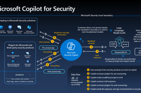Microsoft Copilot Security تقویت امنیت با